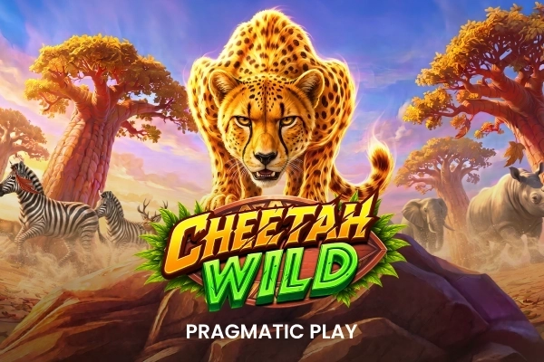 Cheetah Wild -
